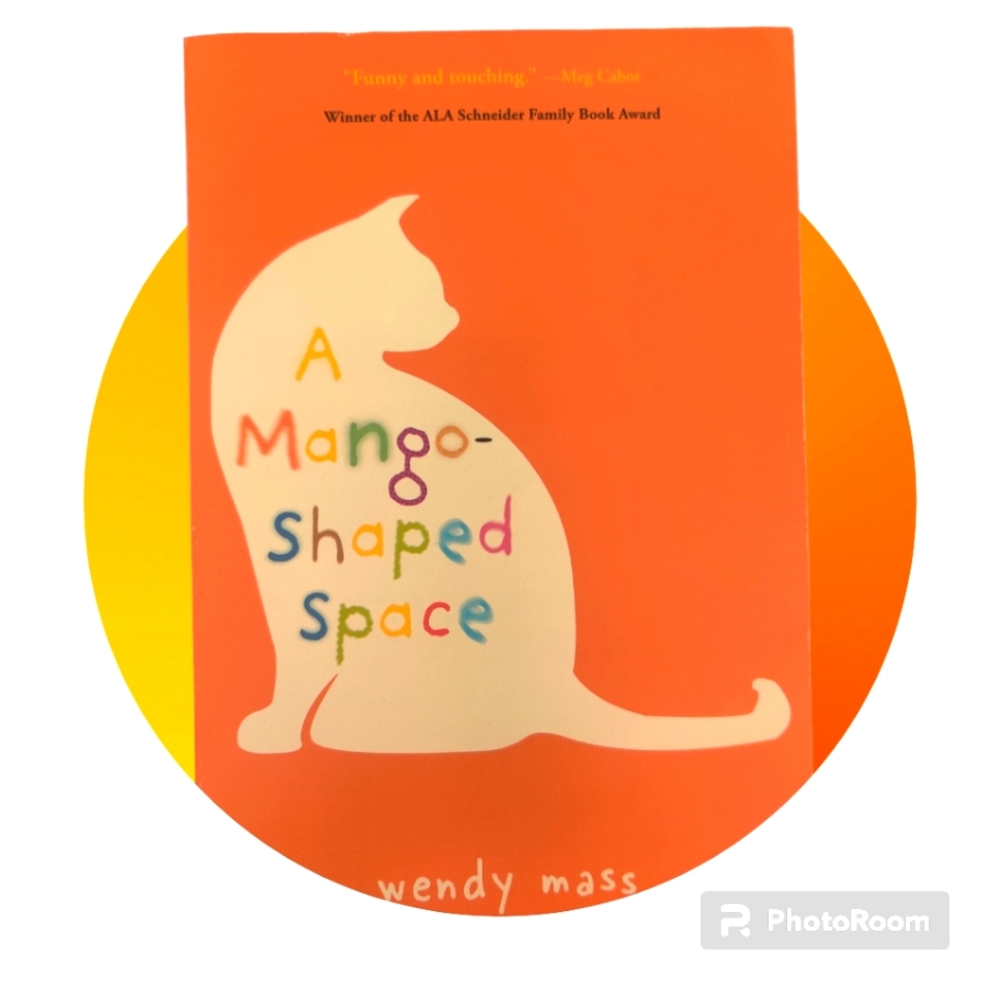 Gently used paperback book: A Mango Shaped Space